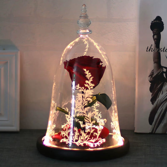 Valentine Gift Beauty and the Beast Rose Eternal Flower with LED Light Home Decoration Wedding Valentine Gift for Mom Girlfriend